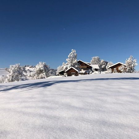 Ferienwohnung Aigisblick Mit Pool Und Sauna, Direkt Am Skihang Missen-Wilhams Esterno foto