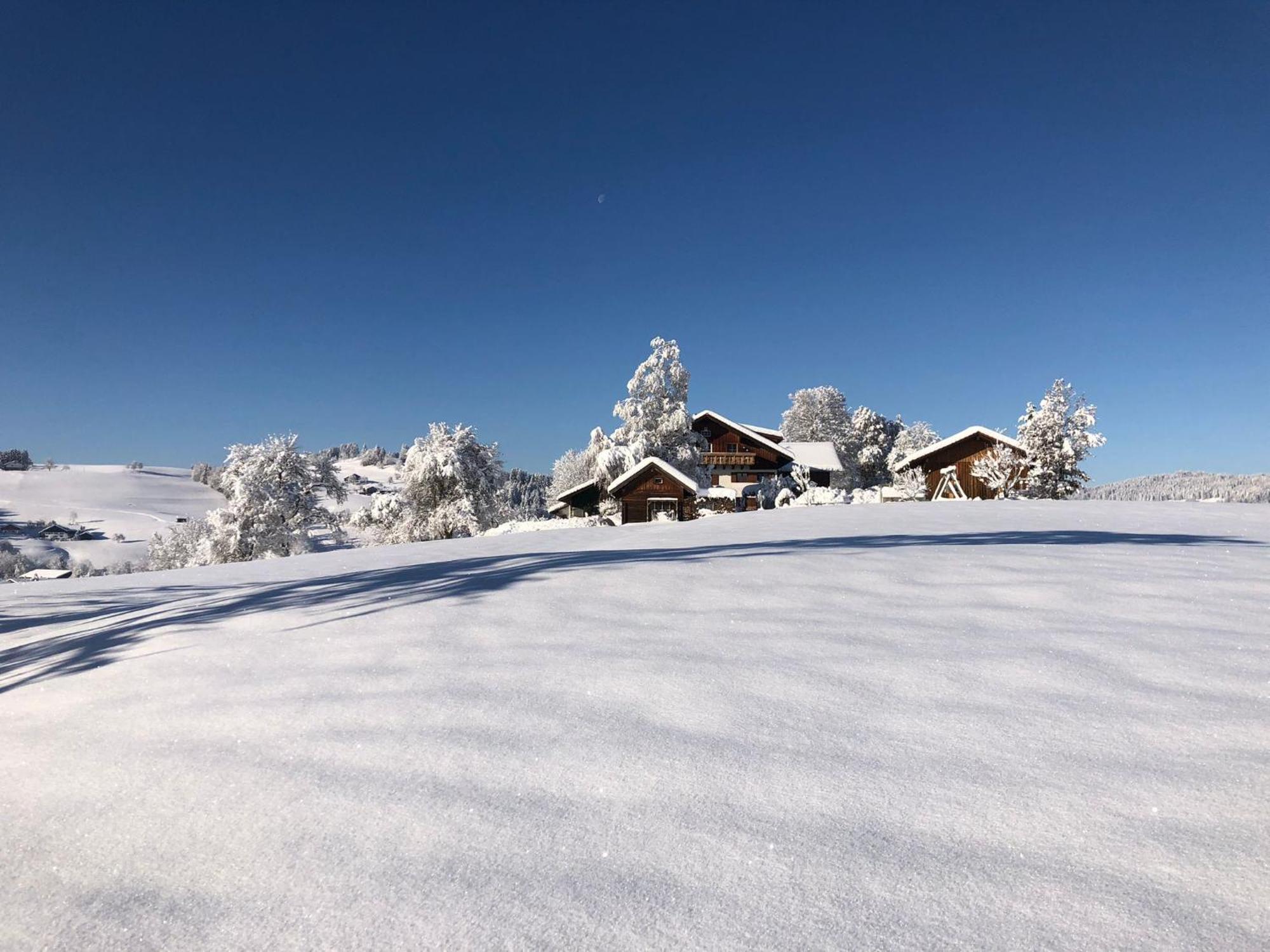 Ferienwohnung Aigisblick Mit Pool Und Sauna, Direkt Am Skihang Missen-Wilhams Esterno foto